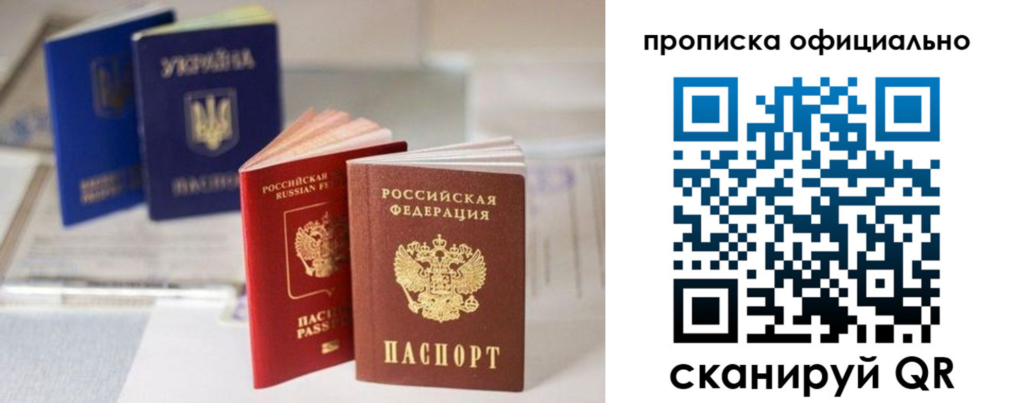 прописка поиск в Михайловке
